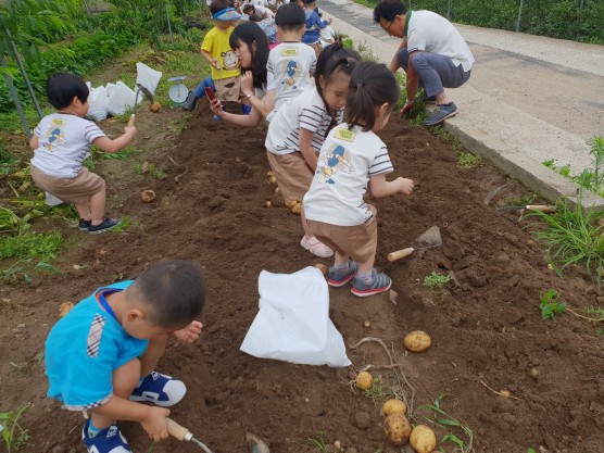 42d40cedece1f7326ddb69ec4d133895_1758112346_9488.jpg 42d40cedece1f7326ddb69ec4d133895_1758112346_9488.jpg